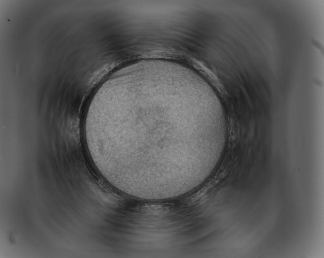 X0000092050298200710101020