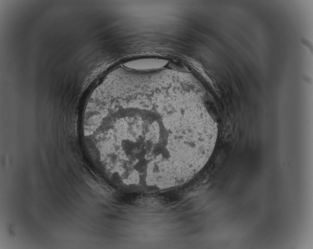 X0000092050299200710101020