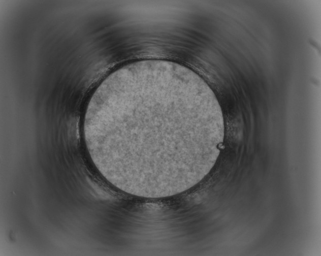 X0000092050302200710101020