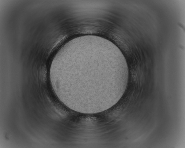 X0000092050304200710101020