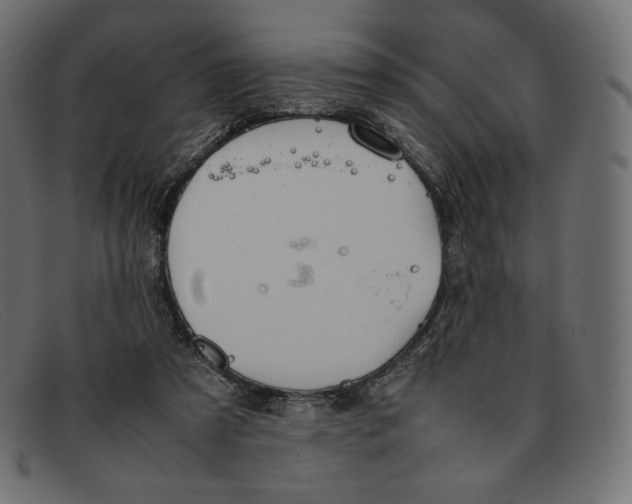 X0000092050305200710101020