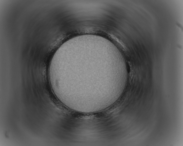 X0000092050306200710101020