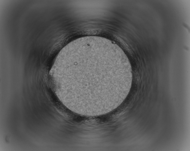 X0000092050307200710101020