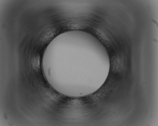 X0000092050310200710101020