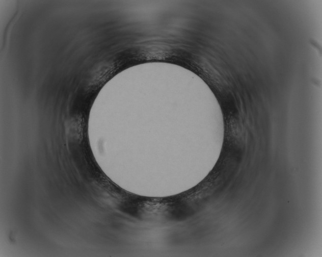 X0000092050311200710101020