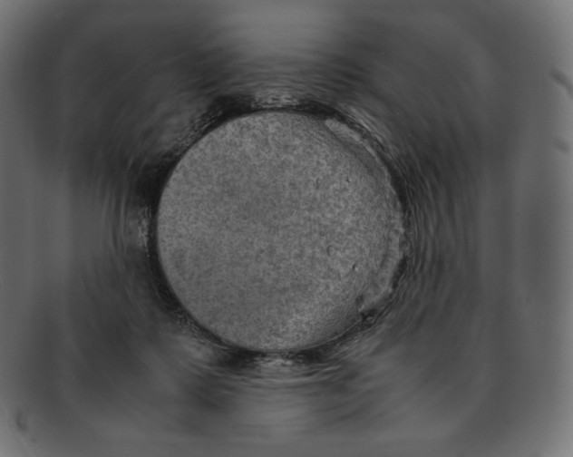 X0000092050315200710101020