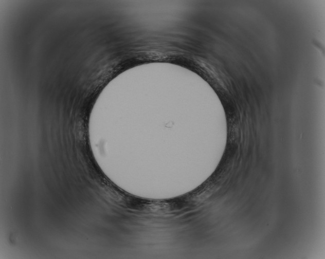 X0000092050317200710101020