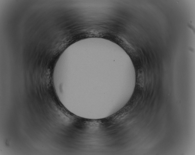 X0000092050318200710101020