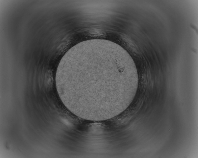 X0000092050320200710101020