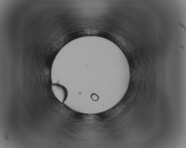 X0000092050321200710101020