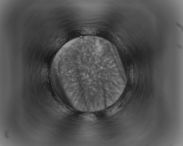 X0000092050322200710101020