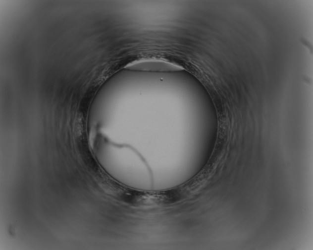 X0000092050323200710101020