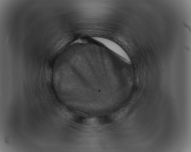 X0000092050325200710101020