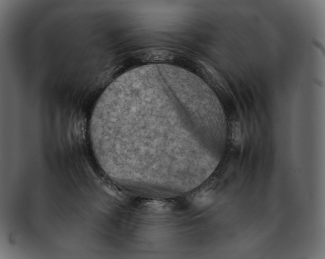 X0000092050326200710101020