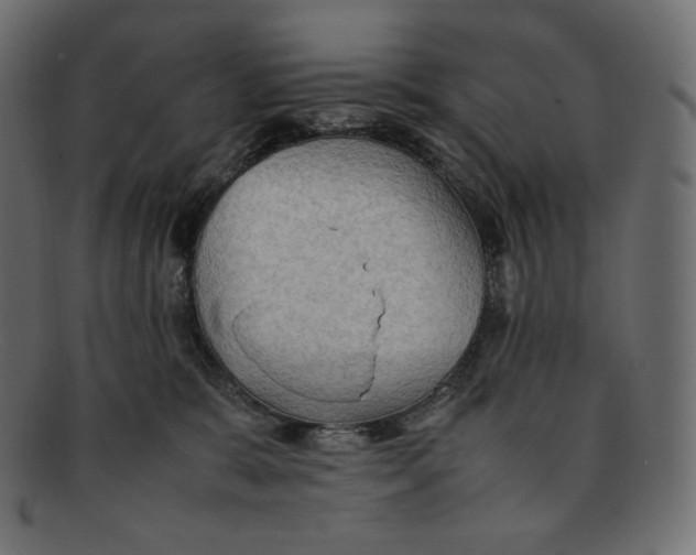 X0000092050327200710101020