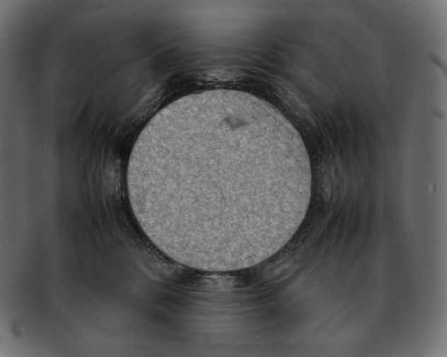 X0000092050328200710101020