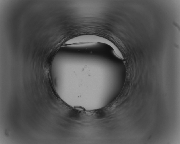 X0000092050329200710101020