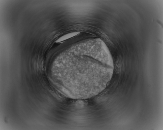 X0000092050330200710101020