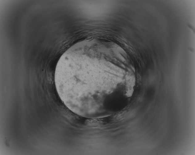 X0000092050331200710101020