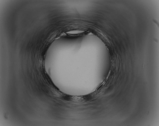 X0000092050333200710101020