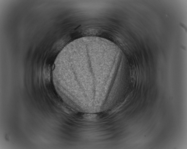 X0000092050334200710101020