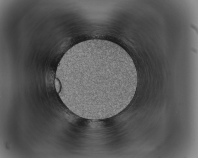 X0000092050336200710101020