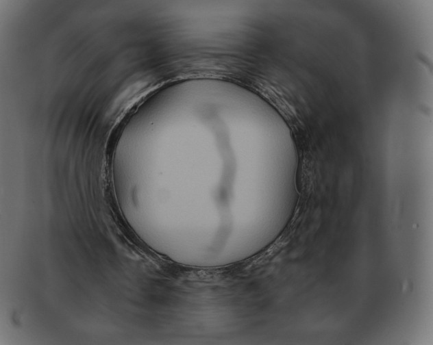 X0000092050338200710101019