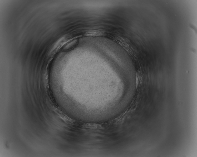 X0000092050339200710101019