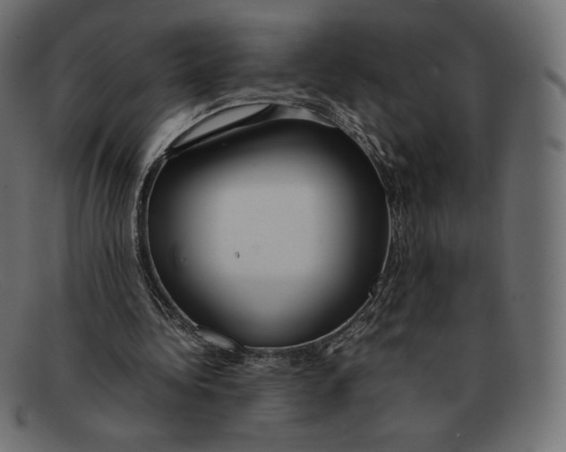 X0000092050340200710101019