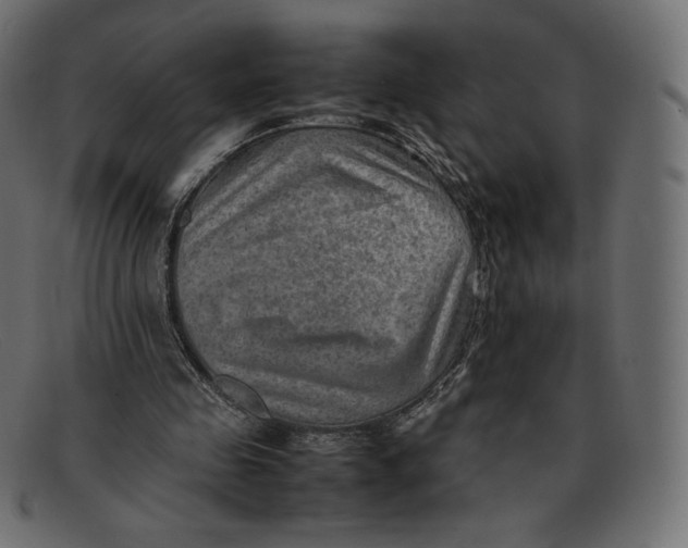 X0000092050341200710101019