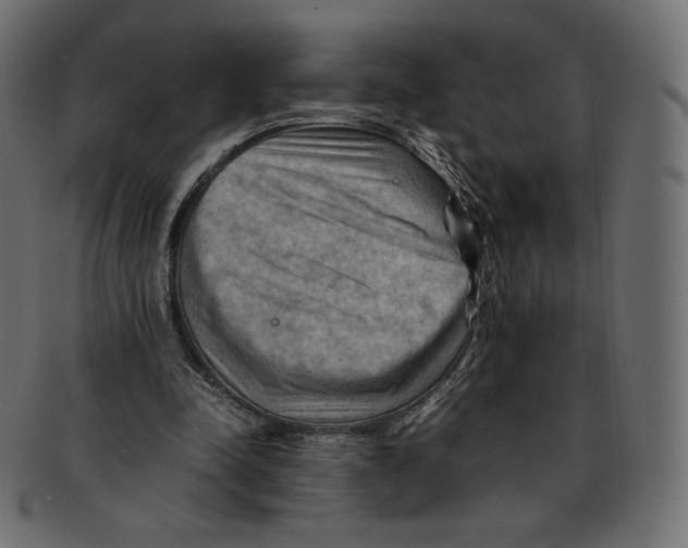 X0000092050342200710101019