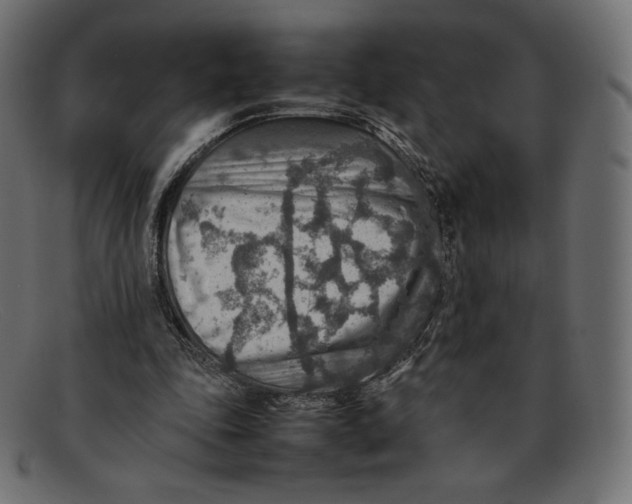 X0000092050343200710101019