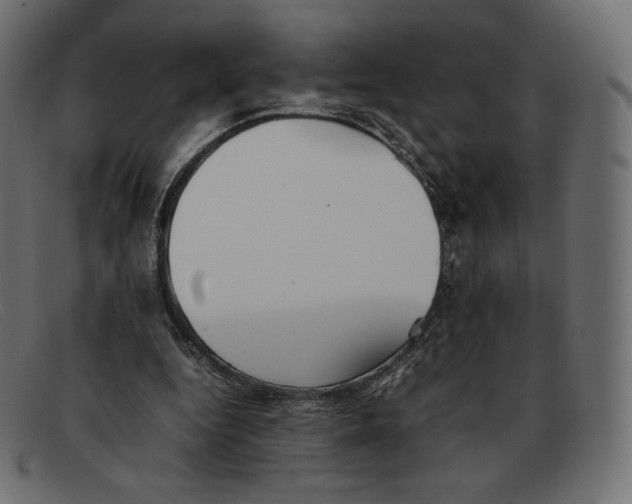 X0000092050344200710101020