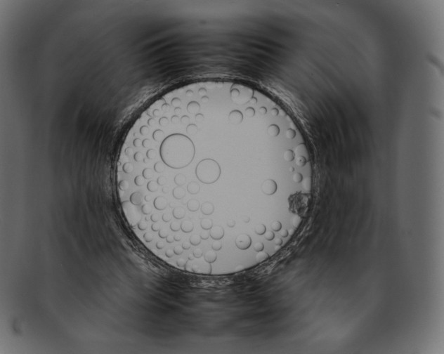 X0000092050345200710101020