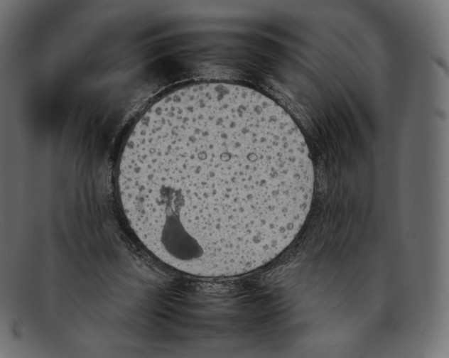 X0000092050347200710101020