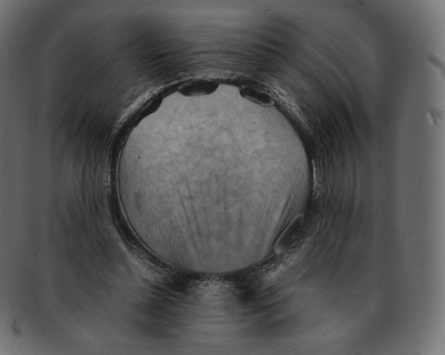 X0000092050348200710101020