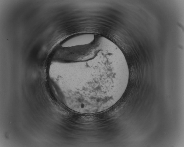 X0000092050351200710101020