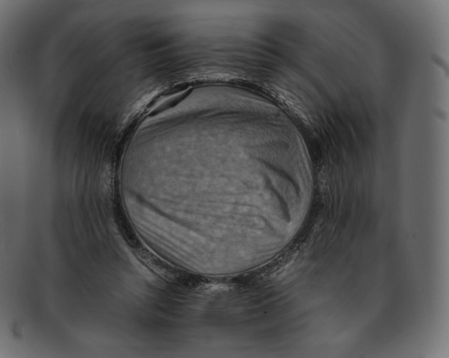 X0000092050352200710101020