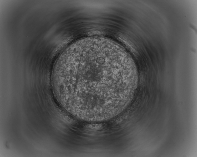 X0000092050353200710101020