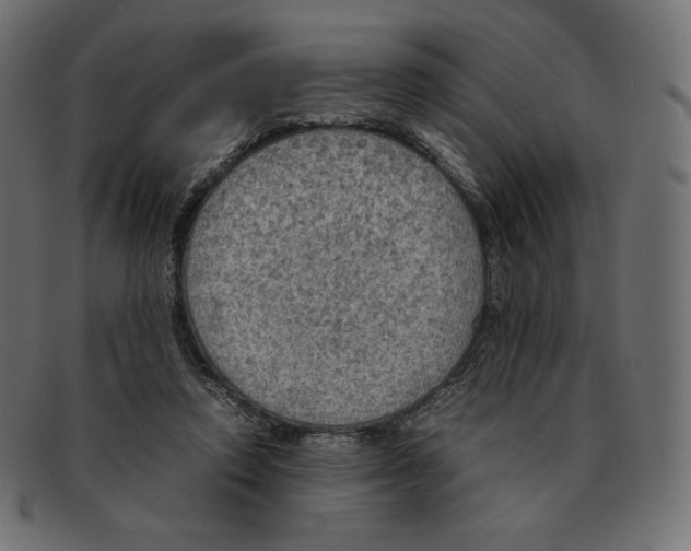 X0000092050354200710101020