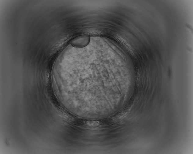 X0000092050355200710101020