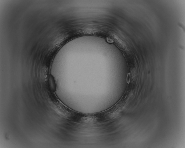 X0000092050356200710101020