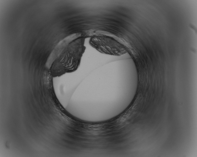 X0000092050357200710101020