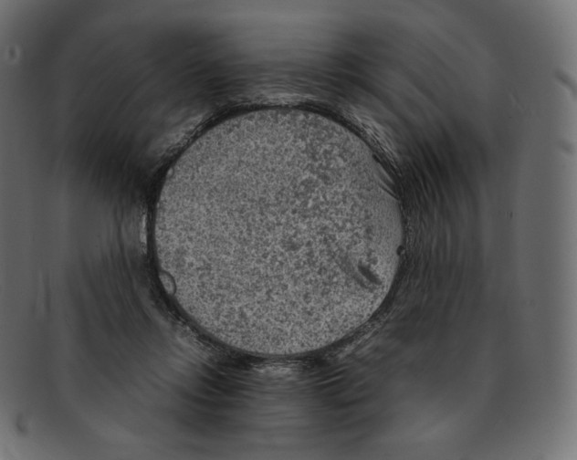 X0000092050358200710101020