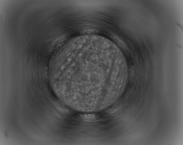 X0000092050361200710101020