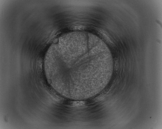 X0000092050363200710101020