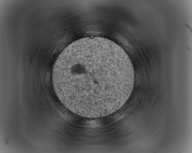 X0000092050365200710101020