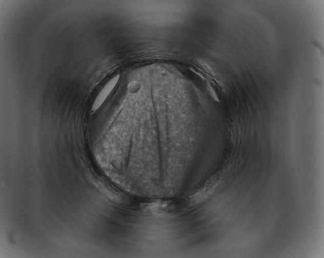 X0000092050366200710101020