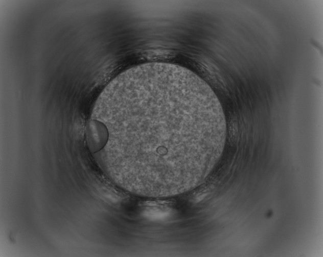 X0000092050367200710101020