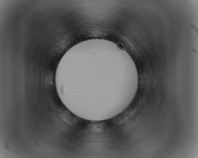 X0000092050368200710101020